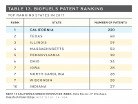 Table 13 Biofuels Patent Ranking
