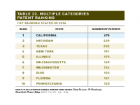 Table 22 Multiple Categories Patent Ranking