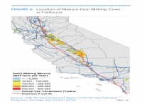 Fig 6 Location of Manure from Milking Cows