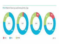 Fig 2 Market Share by Load Serving Entity Type