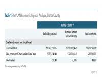 Table 15 IMPLAN Economic Impacts Analysis, Butte County