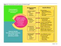 Figure 11. Illustrating the health impacts of climate change