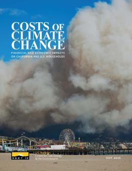 Costs of Climate Change Cover Image